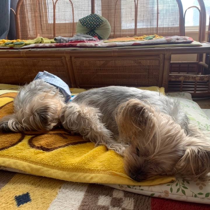 C183f189 e724 4dee 96b5 bd30e6a475e7 1674984398978