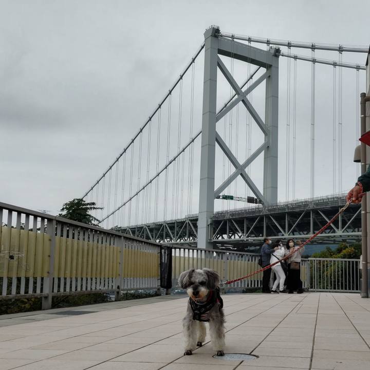 C183f605 c4d5 4b4e b7e3 29c686803363 1731740650198