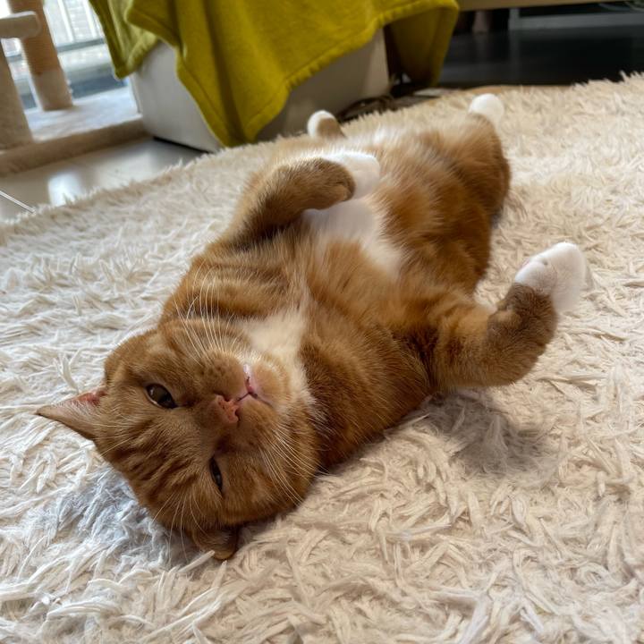 C1843540 0289 48f2 9277 53aa03026ade 1659860926134