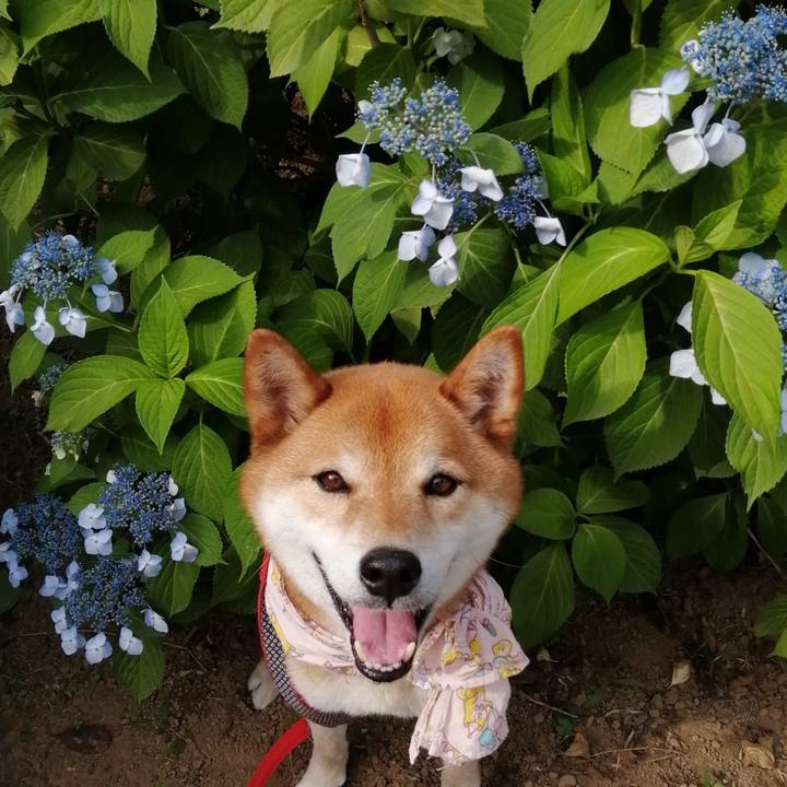 C1844aba c2e0 4bf2 943e 67df40f4d33c 1623397925131