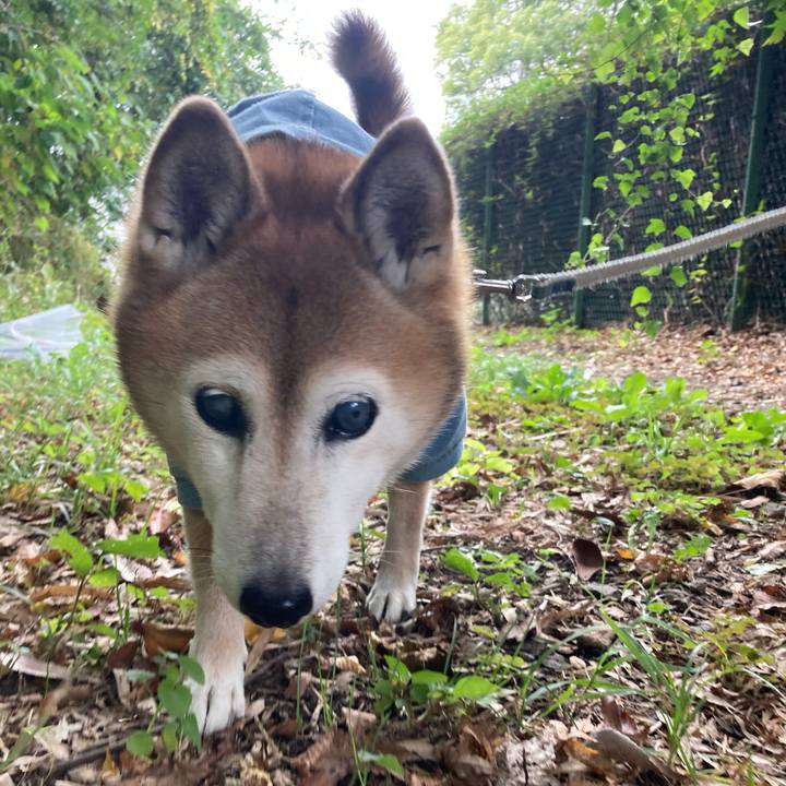 C1845a4f bd13 42f9 845a 8488b7e2ec6b 1761624126053