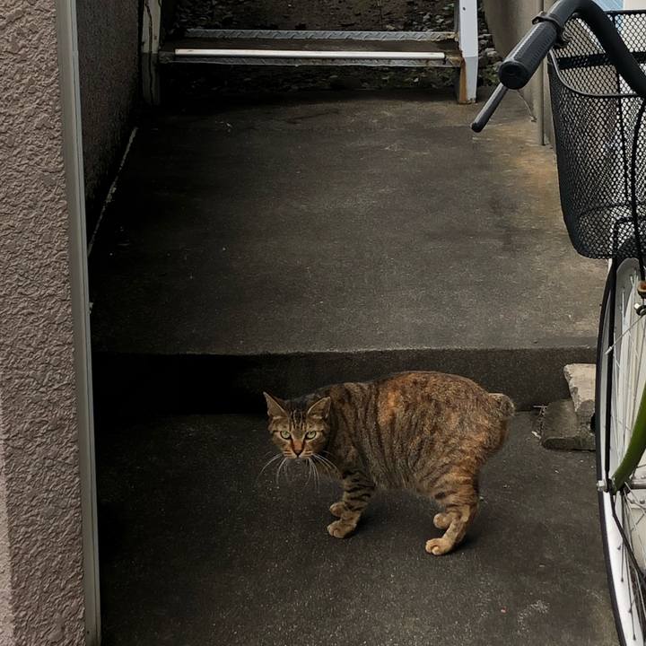 C184bb96 84d4 4926 ba90 de3771a082ab 1572728685835