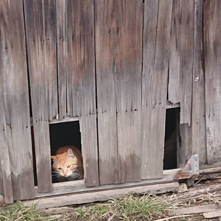 C184bcf0 728c 40e2 9350 f8001c8c917c 1647571998432