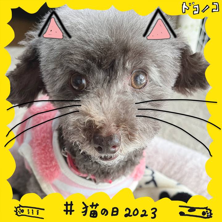 C184c0af 71f4 4c43 9508 4602bb5a2918 1677024676590