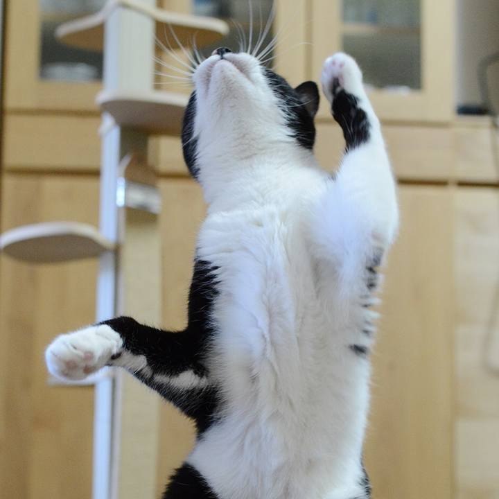 C184daf9 1e39 4325 a072 45ffa283a7c9 1532231334757