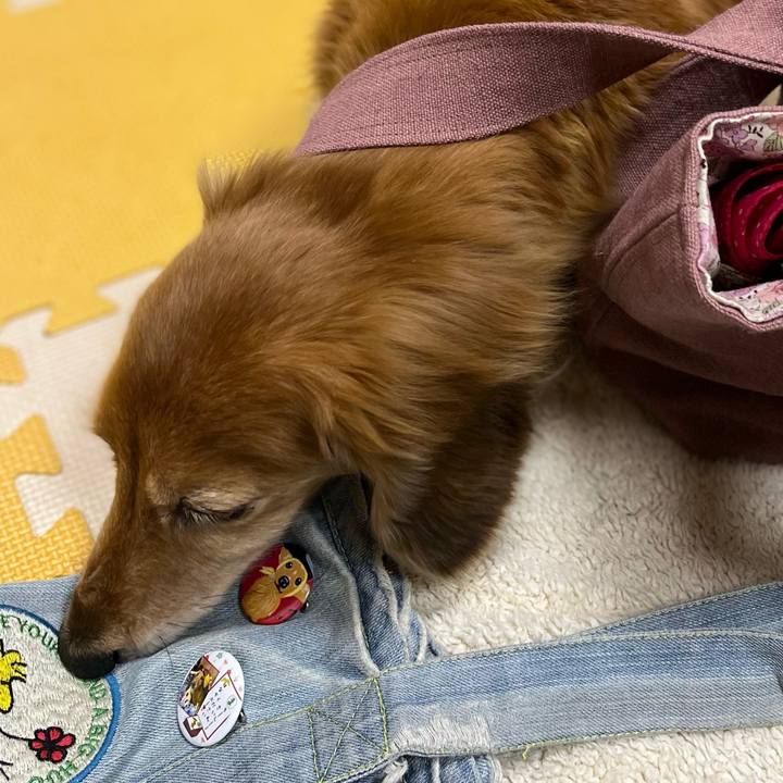 C184db29 a32c 48ef babc 95df7f3ff3f1 1637927813142