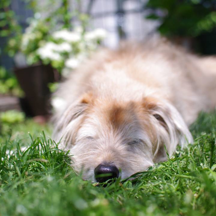 C185195e 3e38 4f28 bec5 e8d3c640e059 1588396084794