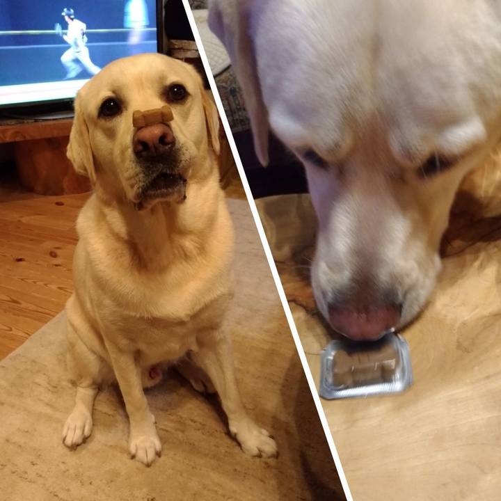 C1854211 5f68 4c62 ad42 8c8f987a81ad 1565783565378