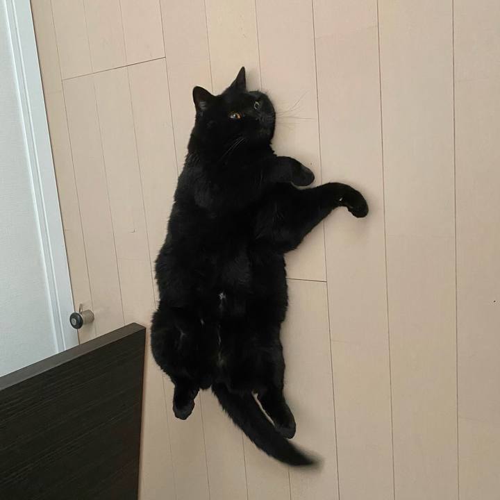 C18571ec d892 4acf 9795 c9906ab93baa 1750137855335