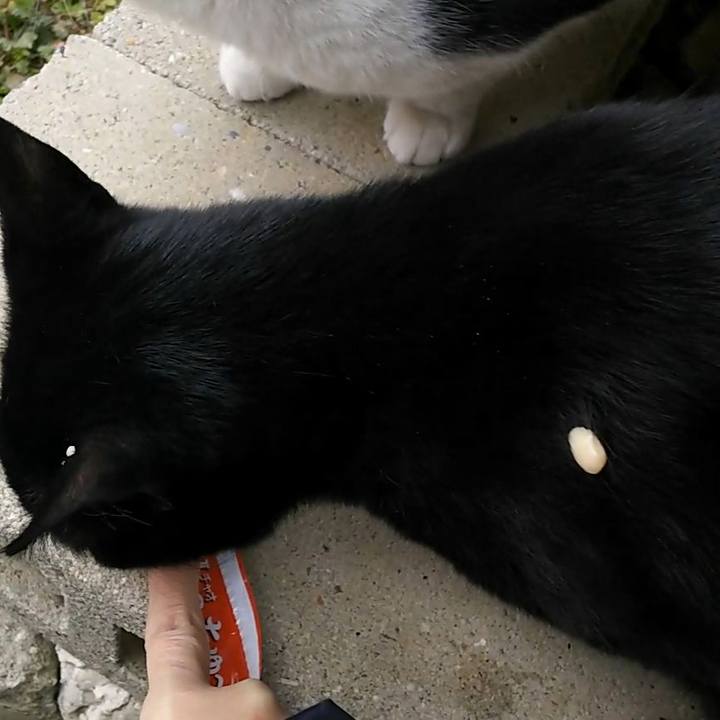 C1860130 6a7a 446d 978c 0c063a00d381 1549168988240