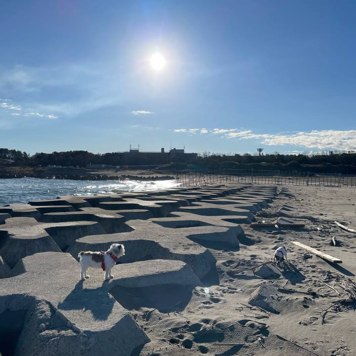 C1864c63 5275 4e66 bbbc 28d371f1f3aa 1666744623883