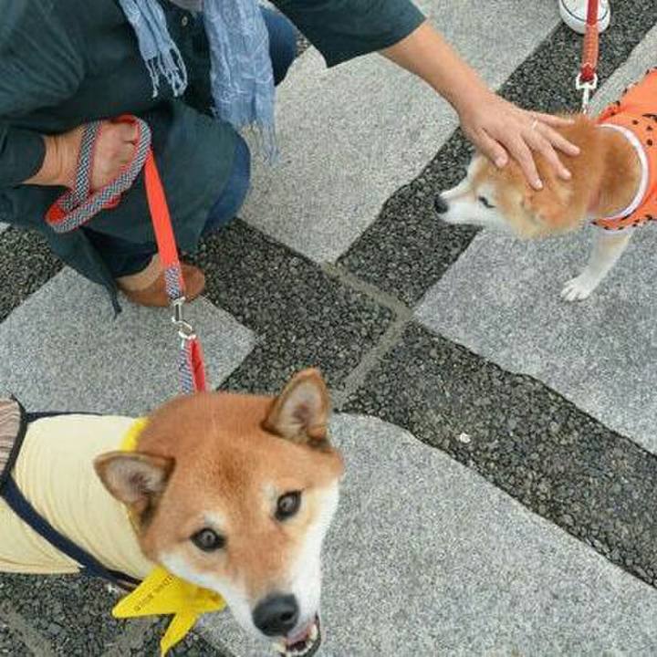 C1867230 c23d 484b bd9d 408723d4b69f 1572050476400