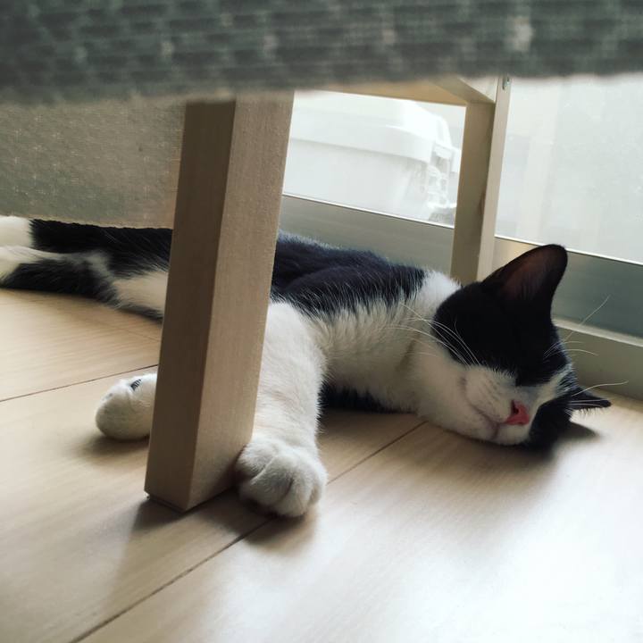 C186a165 adab 4c87 a7fd 6b7d9700d684 1532823471277