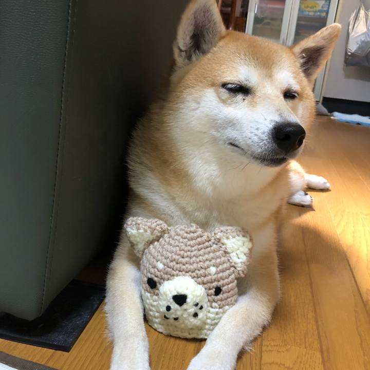 C186b048 a8a7 48a1 977f e7834cb10592 1566285409834