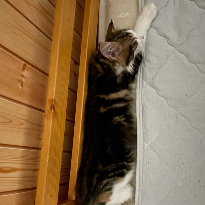 C186d186 375a 4de6 aaf7 8c991d384755 1632665049360