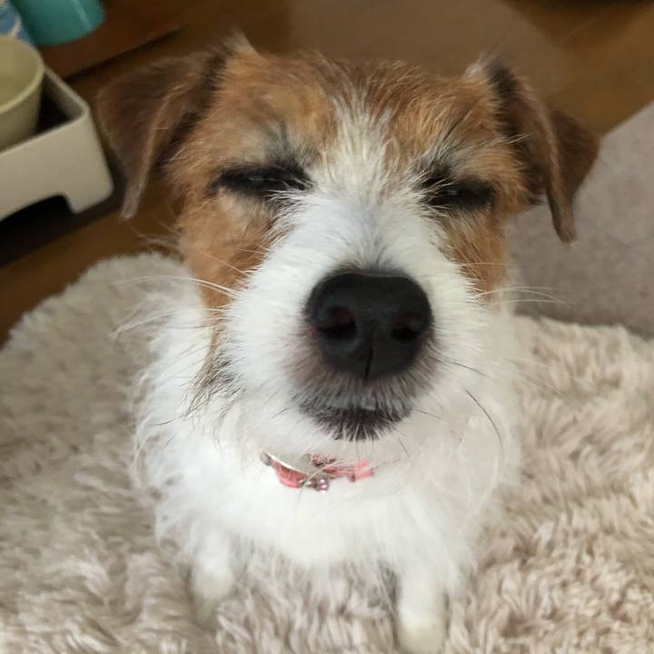 C186d4fd 1720 4ec7 b2d4 2750cd303742 1623756606637