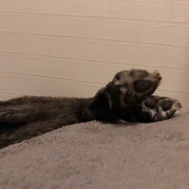 C186f56d a22a 44bd 969a 68aaa99db458 1621944792574