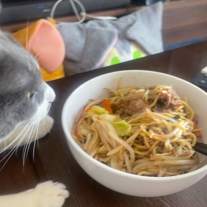 C186fdd2 51d0 4b03 9594 2658c22b5466 1740366423957