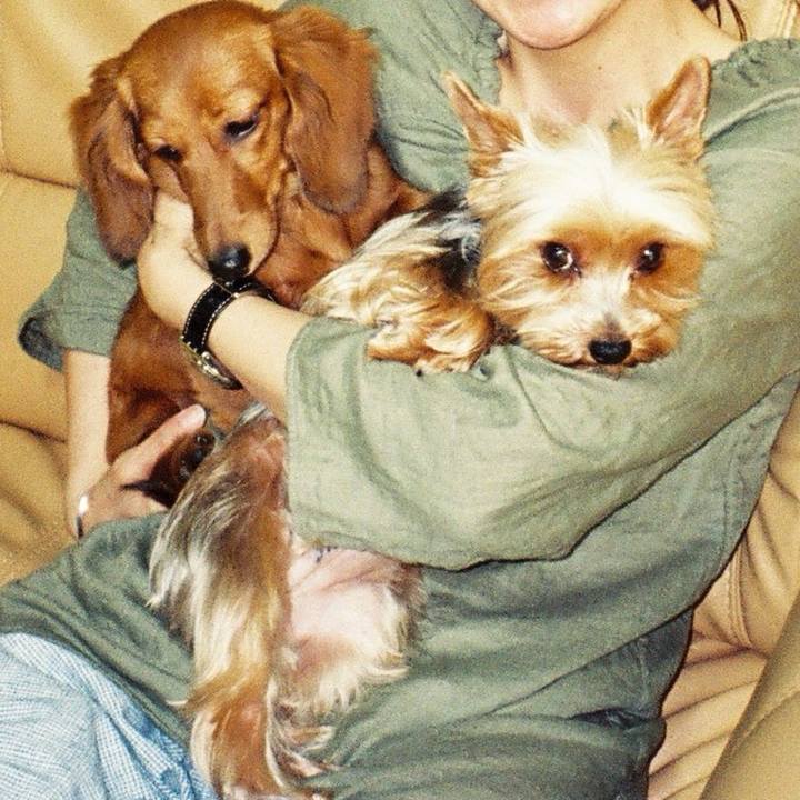 C186fdf6 05b6 4d62 bf4f 4f7d499ac748 1730435281293