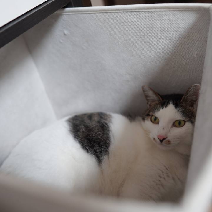 C187047c f89f 4d87 be03 97d05cf4cf19 1594219301733