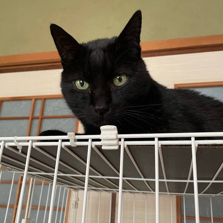 C1874a68 703d 4278 a0dc 14c0ba9b6bc1 1644719933626