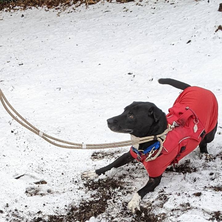 C187501a 6825 4301 a4fc 5b3286b72587 1644801384570