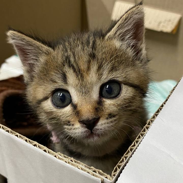 C18759fa cee7 469d bf94 b829bc20c896 1637230474652