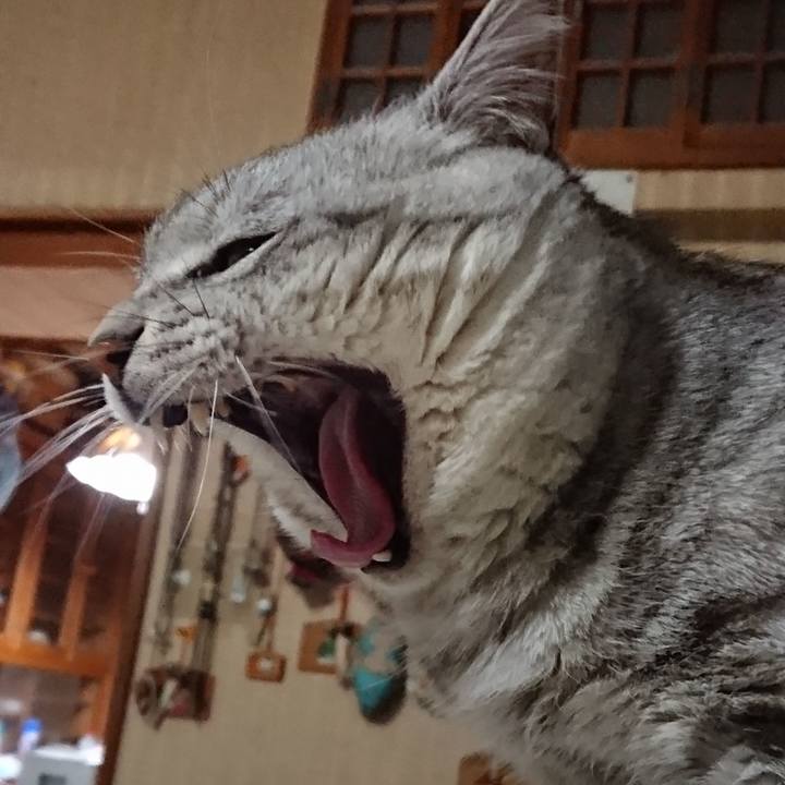 C187b60e 3b91 43ed 91a6 9578fb402fd9 1520517856303