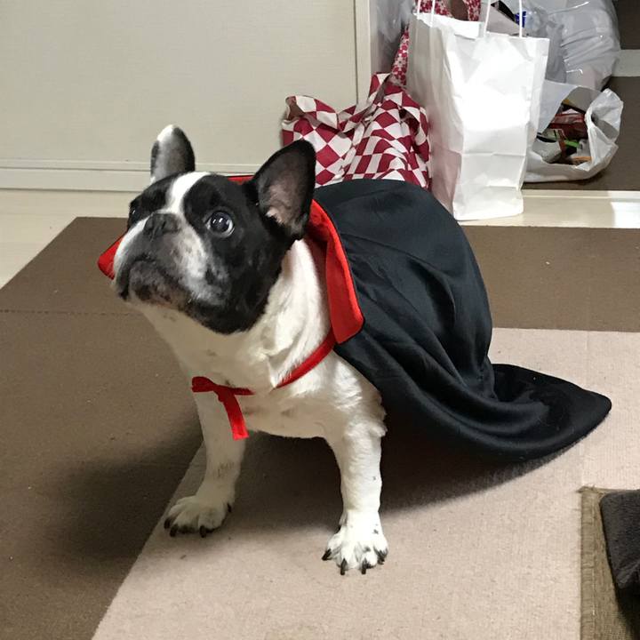 C187c4d5 cf6b 4507 8f57 a3858bd3fc50 1509257251579