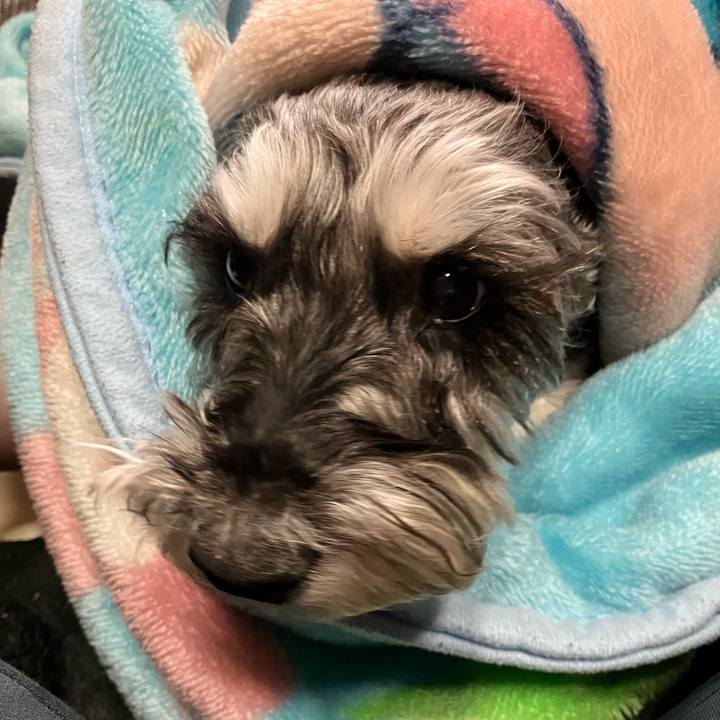 C187c8bc bbf4 448f a687 205d557a0251 1773539569282