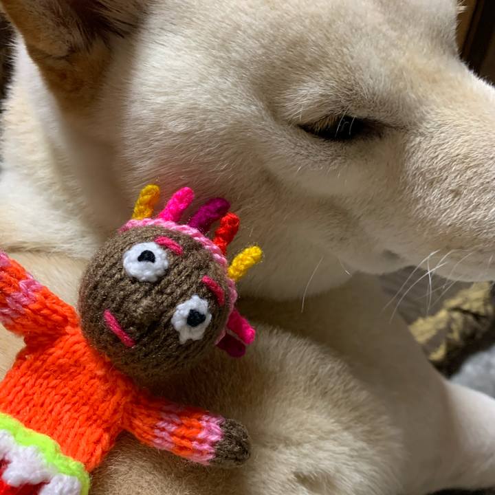 C187da58 cb05 4ab4 b11c 53f591b1f9f4 1578123635027