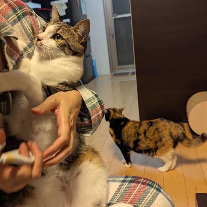 C188101c 469b 4257 a24f 8c09449291c4 1762241756825