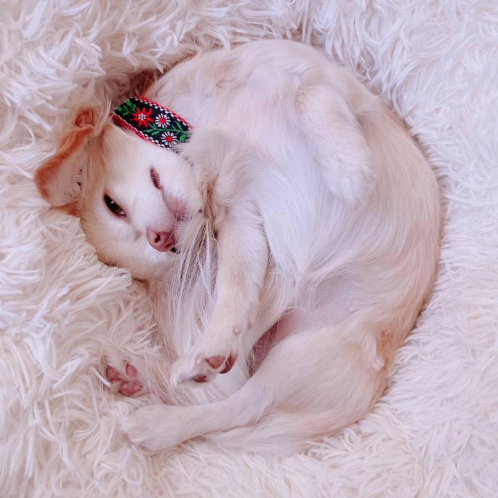 C1887825 1a6b 4026 86e3 3df098e5e065 1676886724960