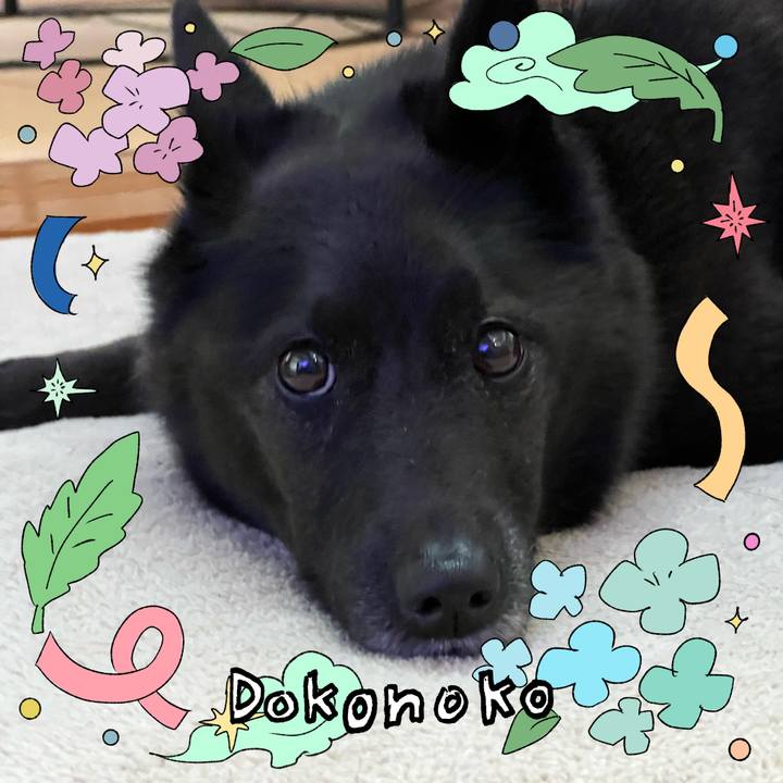 C188dd64 1c2d 4b46 a89d f0c33d373a39 1717808094854