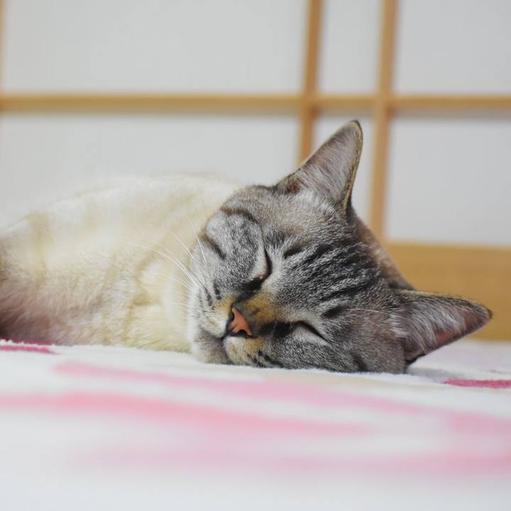 C188f8e2 491c 4c37 aaed 72fb188b7991 1529229989986