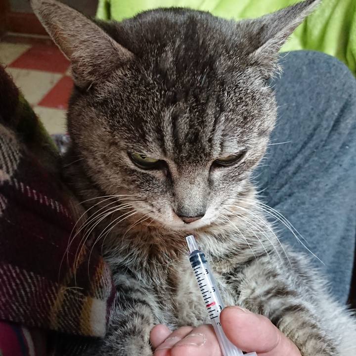 C1892735 48e5 4468 b218 25105b349c60 1583016227799