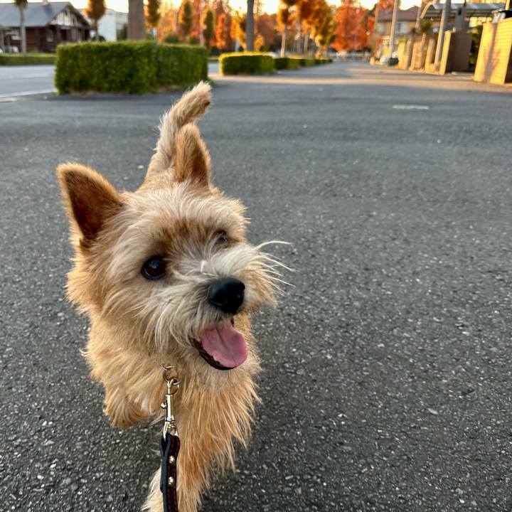 C18964f6 c9ac 4cda a242 726128584e5e 1733304253375