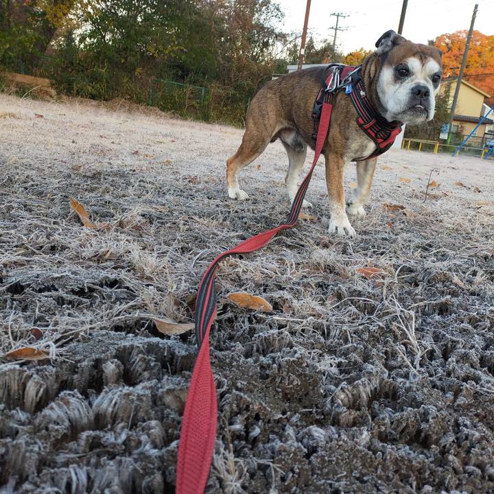 C1896846 1e2c 40a3 afd9 a2a8246c46e4 1638189711701