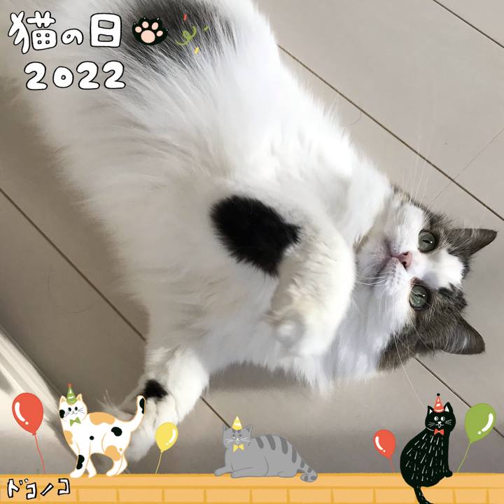 C1898dd3 76b2 4680 bdbd 6c333deadbc5 1645501698434