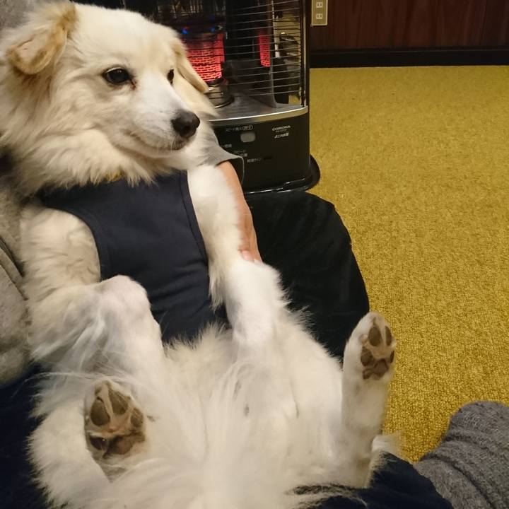 C189a804 1dbb 4c8e 8eb1 f72cc24e4b4d 1549056564804