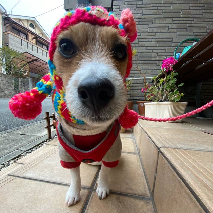 C189aeaf d617 4960 a445 bd53ce13cf8d 1610241750593