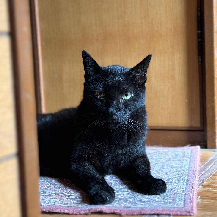 C189b0d8 3cbc 4a0e 976f cc55feb50046 1690848155727