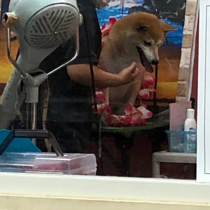 C189fb3b 4c23 4dbb 8617 1e04b8a8fc40 1597565065190