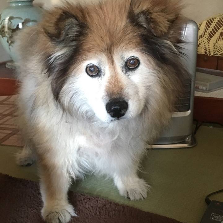 C18a01d2 016e 438d 9a60 e5f4997d9225 1588787236907