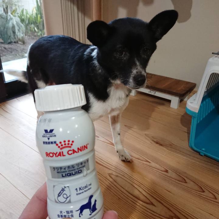 C18a4b69 8dde 4c7a 90e6 8c12d569719b 1613486234672