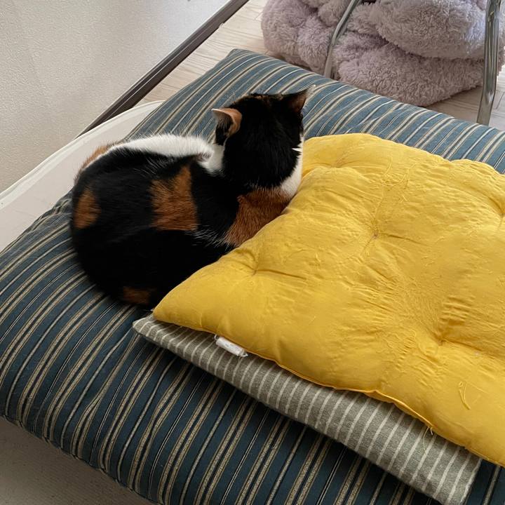 C18a5c61 6791 4376 a4b2 7bc434dc3465 1718747861779