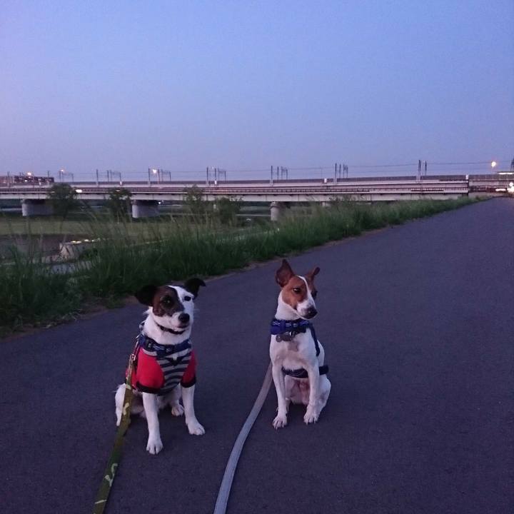 C18a71f4 af76 4996 863a eec778734fa9 1524908996239