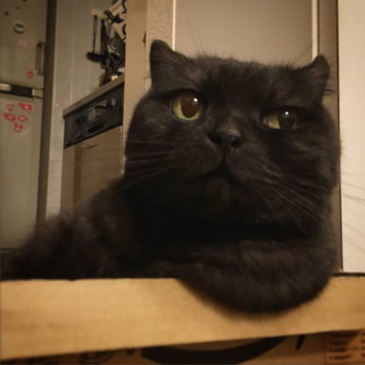 C18a7e11 46e4 45e1 bda1 995c22949c73 1534785104234