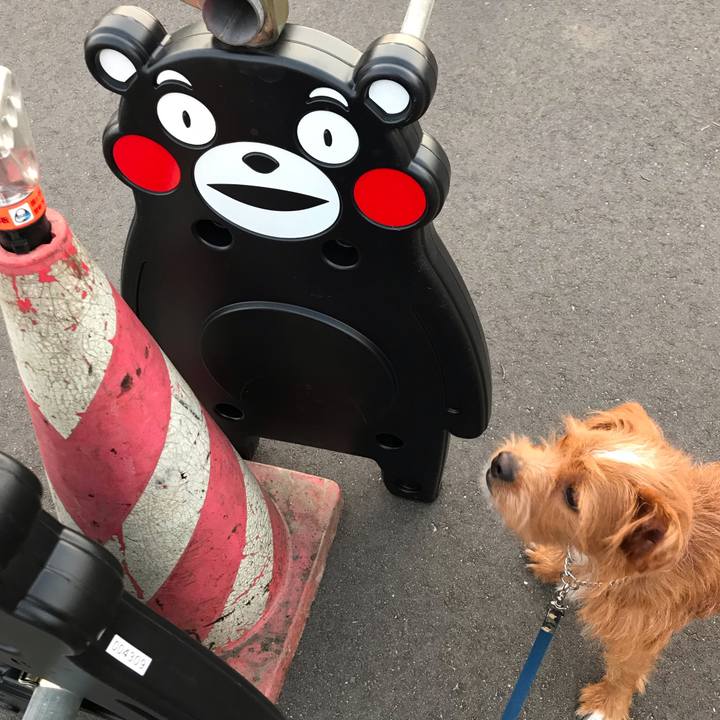 C18a886c f140 4c24 9f64 5427aa66c685 1538641671899