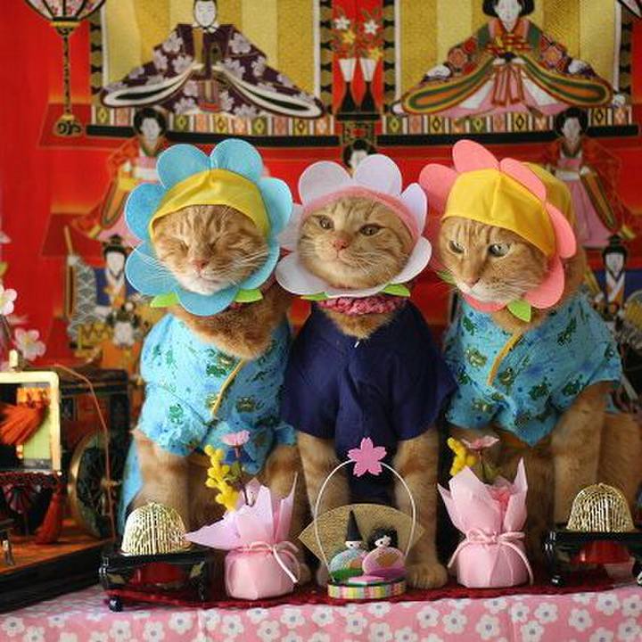 C18aac3f d675 45ef 8406 004e18593ffe 1551582554756